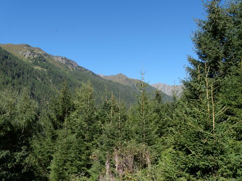 048106972ffa56c2301f.JPG