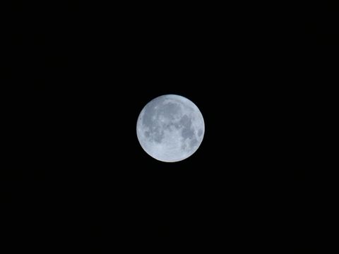 54a16bfa802894e718e6.JPG