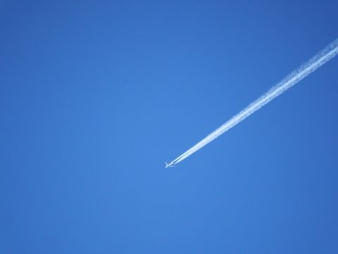 7e51889ce08f78a1a9f5.JPG