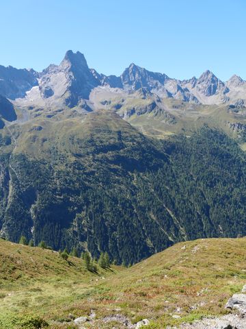 bc43523c3e5d13cf72e6.JPG